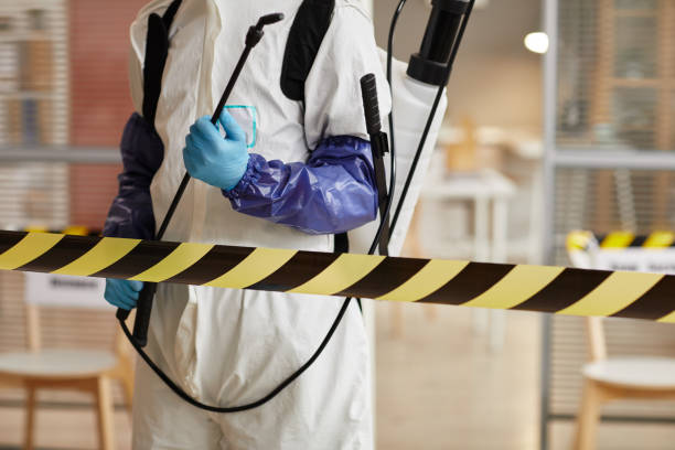 Professional Sewage Cleanup technician working in Morristown, IN